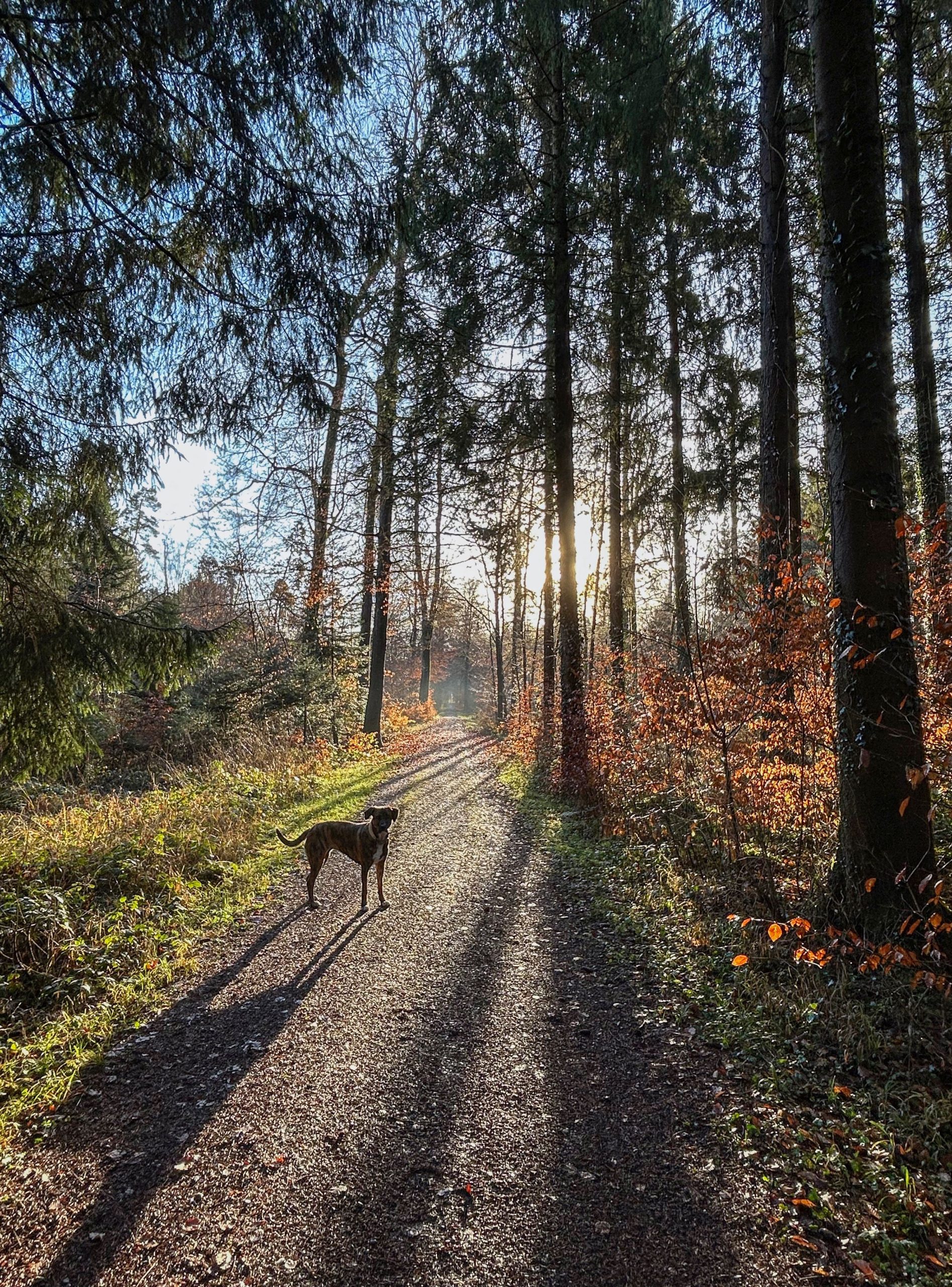 Hindernisse überwinden